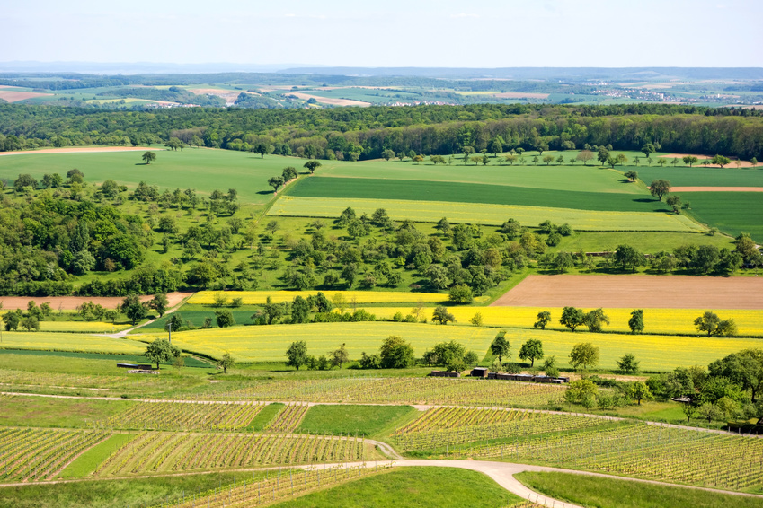 Landscape in Kraichgau, Baden-Wuerttemberg, Germany